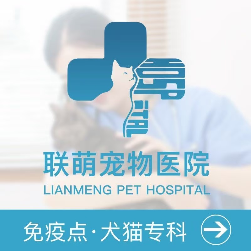 文章插图